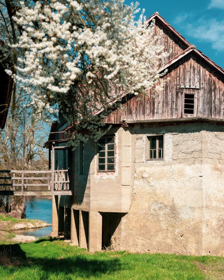 Fortun Estate - Apartmaji Ob Reki Kolpi Metlika Luaran gambar